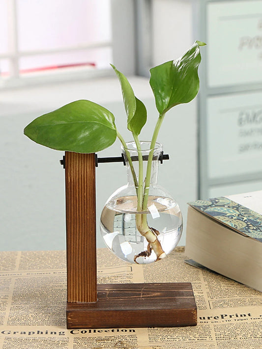 Frame Hydroponic Vase