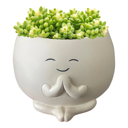 Smile Face Planter