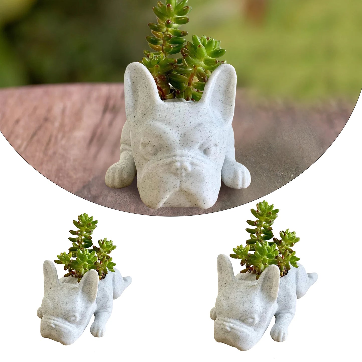 Dog planters